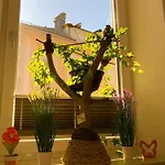 Haus Braumandl Apartment *