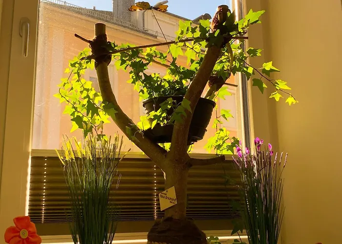 Haus Braumandl Apartman *