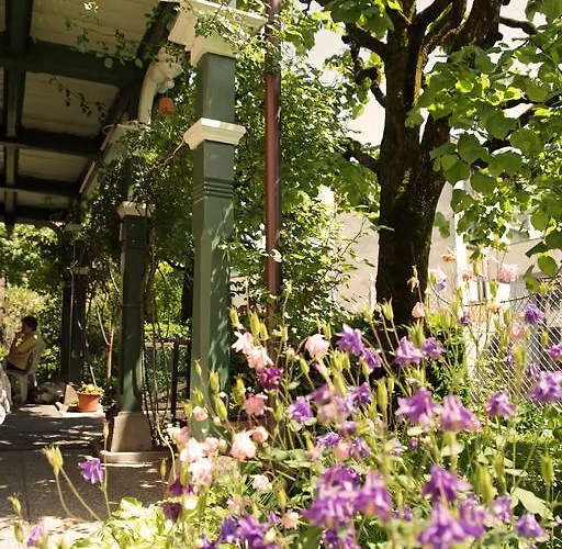 Haus Braumandl * Bad Ischl